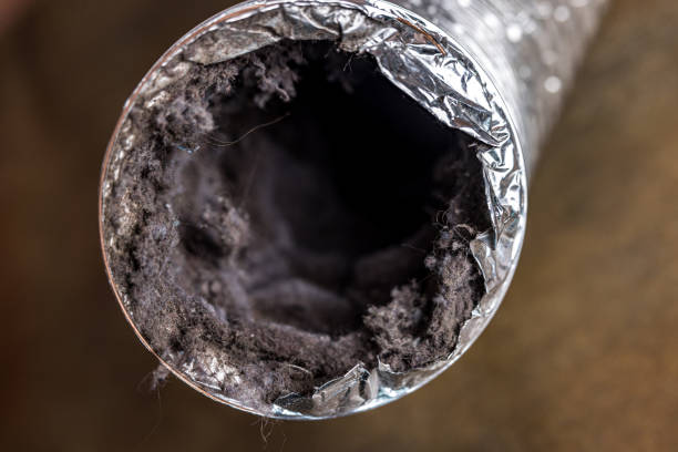 Best Air Duct Cleaning Near Me in Cape Canaveral, FL